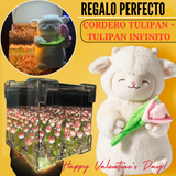 PELUCHE CORDEITO TULIPAN + TULIPAN INFINITO CAJA DE REGALO