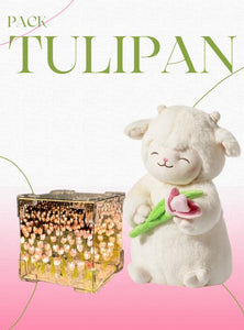 PELUCHE CORDEITO TULIPAN + TULIPAN INFINITO CAJA DE REGALO